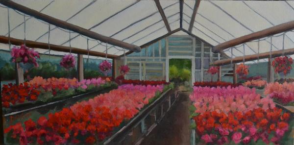 Greenhouse Geraniums