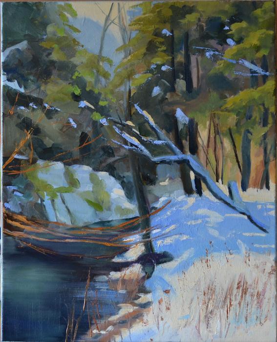 A January Walk