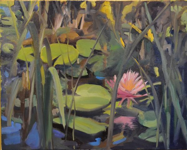Hidden Lily